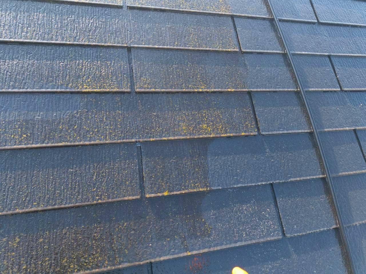 高圧洗浄前後のスレート屋根汚れの比較